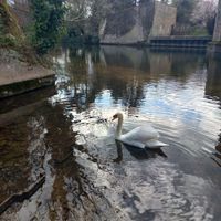 Photo 4 of Brandon Little Ouse Bridge