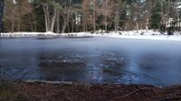 Curling Pond