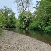 Photo 4 of Pembridge