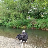 Photo 3 of Pembridge