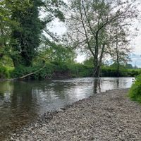 Photo 2 of Pembridge