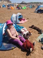 Photo 2 of Crooklets