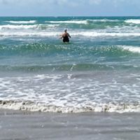 Photo 3 of East wittering beach