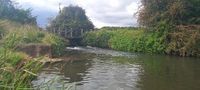 River Purwell, Arlesey