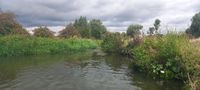 Photo 2 of River Purwell, Arlesey