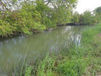 River Cherwell Spot 1