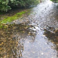 Photo 5 of Hilborough