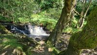 Photo 3 of Kisdon Force