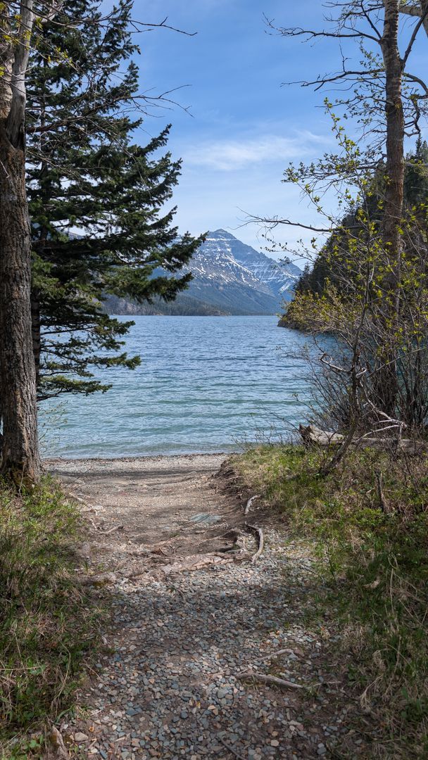 Photo of Bertha Bay
