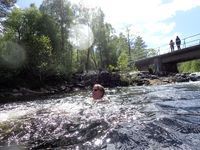 Photo 4 of Dog Falls, Glen Affric