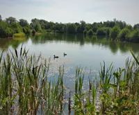 Photo 2 of Allerthorpe Lakeland Park