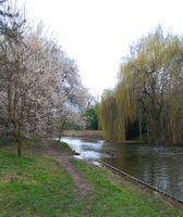 Photo 2 of Bramford Bridge