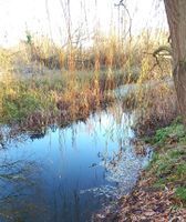 Photo 2 of Honington Jetty