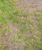 Photo 4 of Bramford Bridge