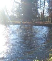 Photo 2 of Riverside Kiosk