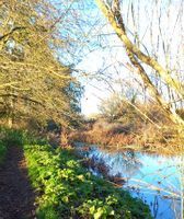 Photo 5 of Honington Jetty