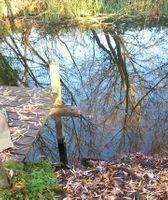 Photo 3 of Honington Jetty