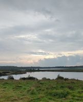 Photo 2 of 'Carolines' at RSPB St Aidan's (Bowers Lake)