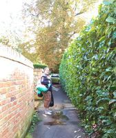 Photo 2 of Hurley Islands and Weir