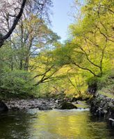 Photo 2 of Pontneddfechan Waterfalls quiet spot