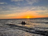 Russel Road Morning Dippers