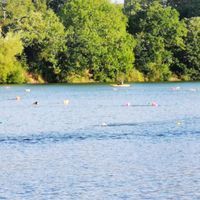 Photo 5 of Netherton Open Water Swimming