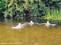Photo 5 of Bramford Meadows Rope Swing