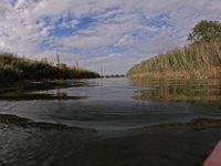 Photo 3 of River Hull Weel Bridge