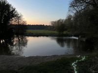 Knettishall Heath Nature Reserve SSSI