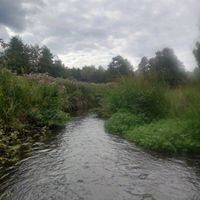 Photo 3 of Didlington