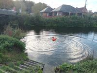 Photo 5 of River Parrett