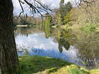 Photo 4 of Swinton Estate