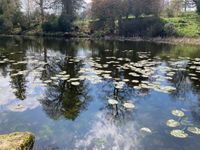 Photo 2 of Swinton Estate