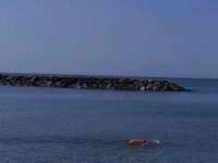 Photo 2 of Sidmouth Town