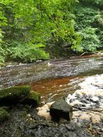 Photo 4 of Cauldon falls, West Burton