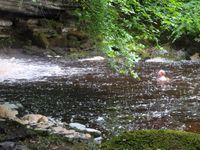 Photo 5 of Cauldon falls, West Burton