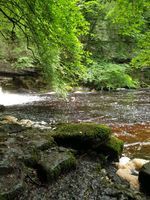 Photo 2 of Cauldon falls, West Burton