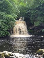 Cauldon falls, West Burton