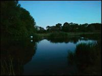The river at night (sunset is behind us)