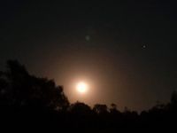 Full moon rising over the trees