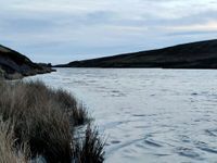 Photo 3 of Snailsden Reservoir