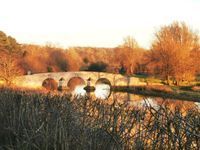 Photo 5 of Milton Ferry Bridge - River Nene