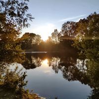 The Spit at Lynford Water