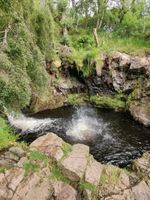 Photo 5 of Linhope Spout