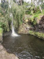 Linhope Spout