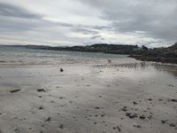 Photo 4 of Traeth Bychan / Bychan Beach