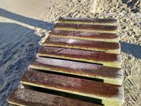 Photo 4 of Christchurch Avon Beach