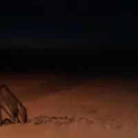 Photo 3 of Poole Shore Road Beach