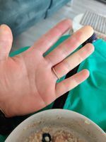 Photo 5 of Dereenatra