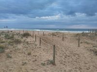 Photo 3 of Playa De La Fonollera I Mas Pinell